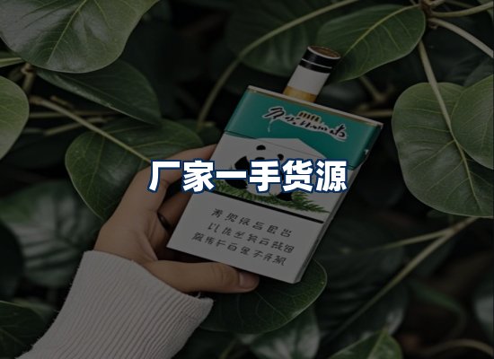 专业团队办公环境